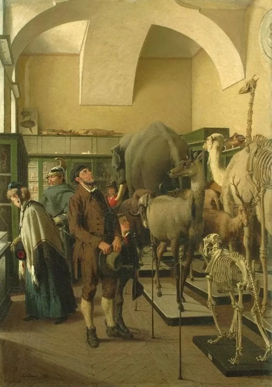 Museo Zoologico - GAM, Torino